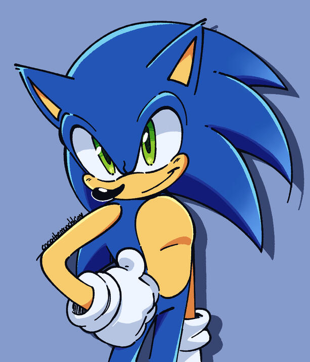 Sonic the Hedgehog